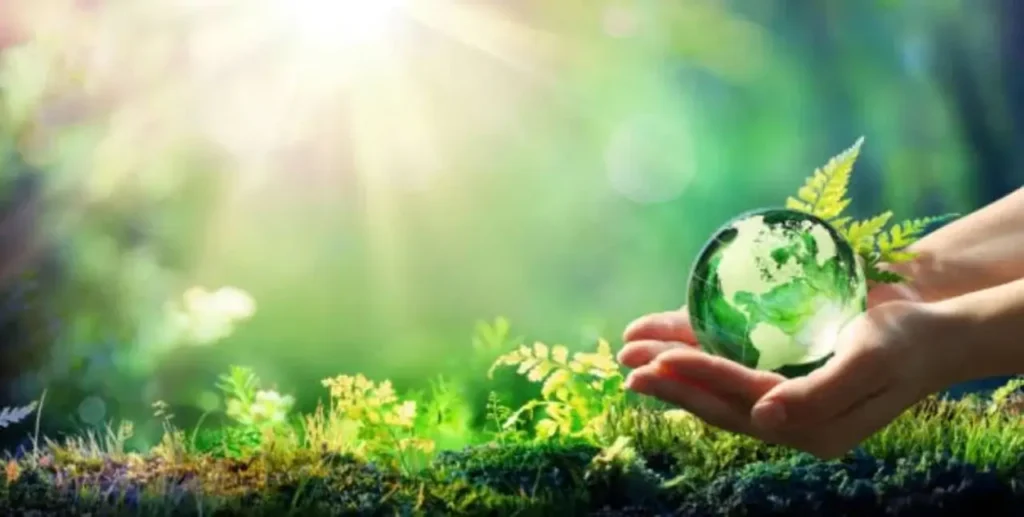 How-to-Protect-Our-Environment