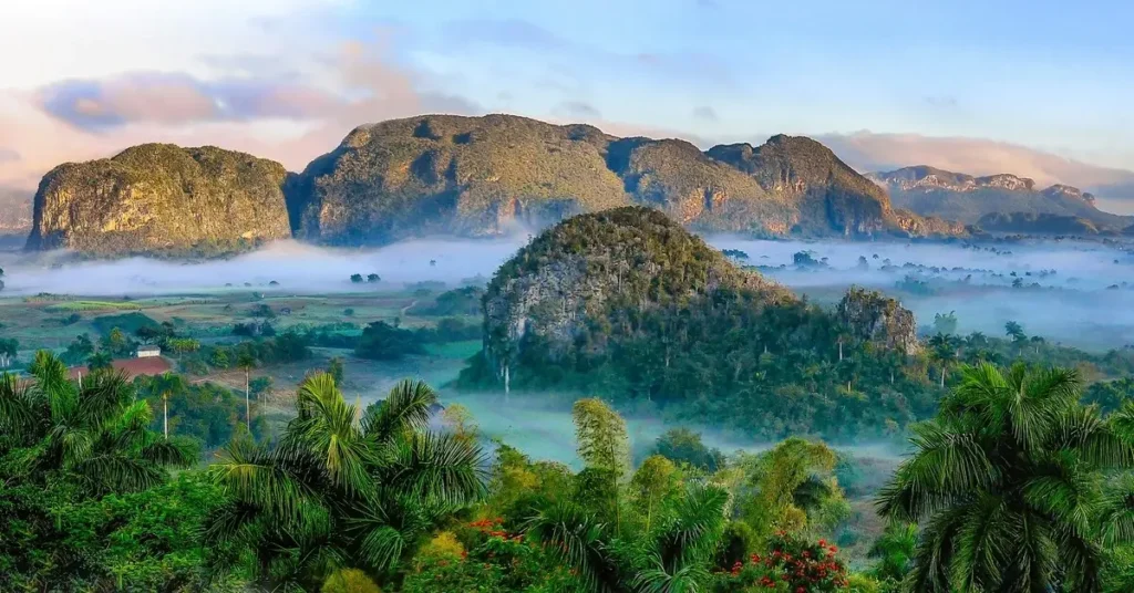Natural-Environment-Dictionary