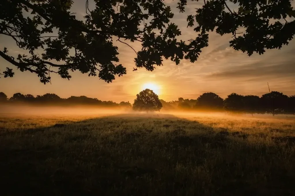Natural-Environment-In-Business