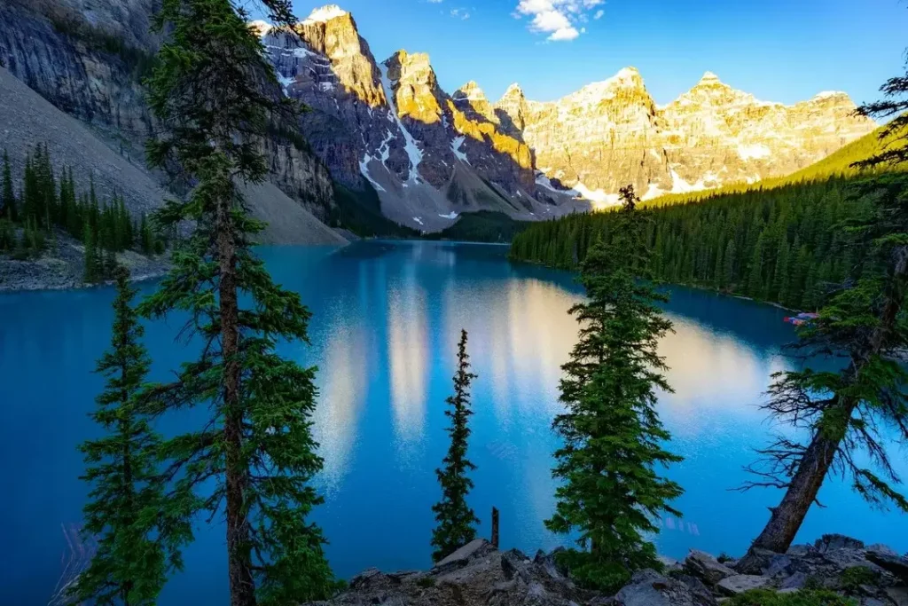 Types-Of-Nature