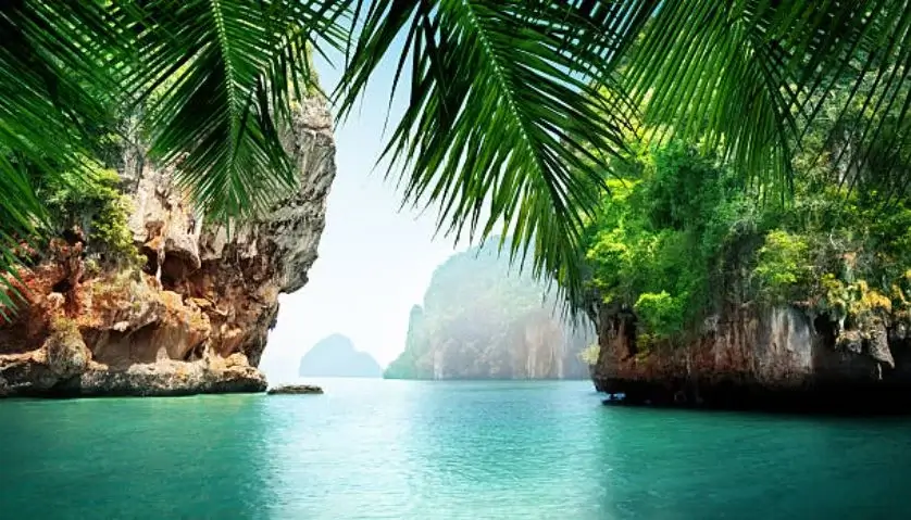 Why-is-the-natural-environment-important