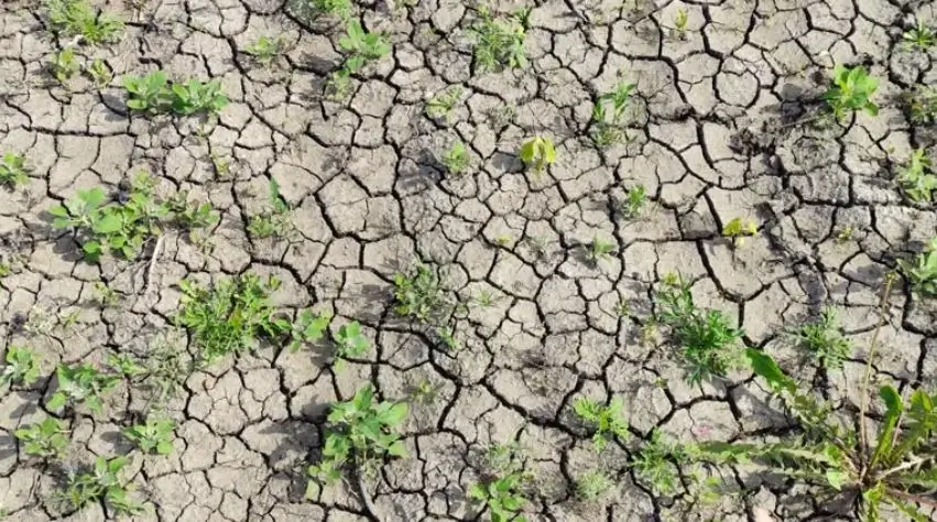 Climate-In-The-Environment (1)