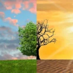 Climate-In-The-Environment