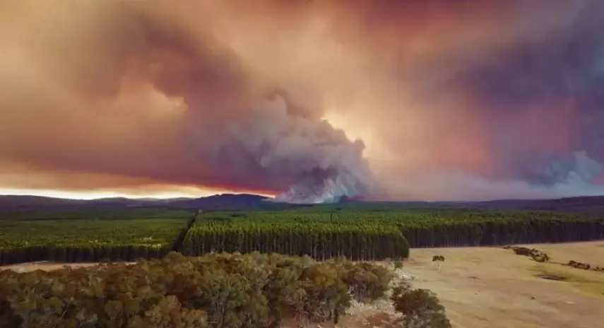 Definition Of Climate In The Environment