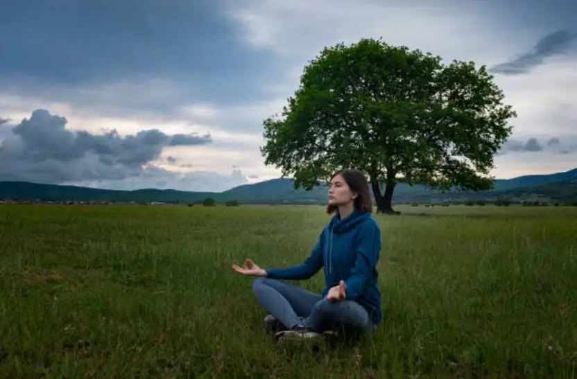 Importance of the natural environment
